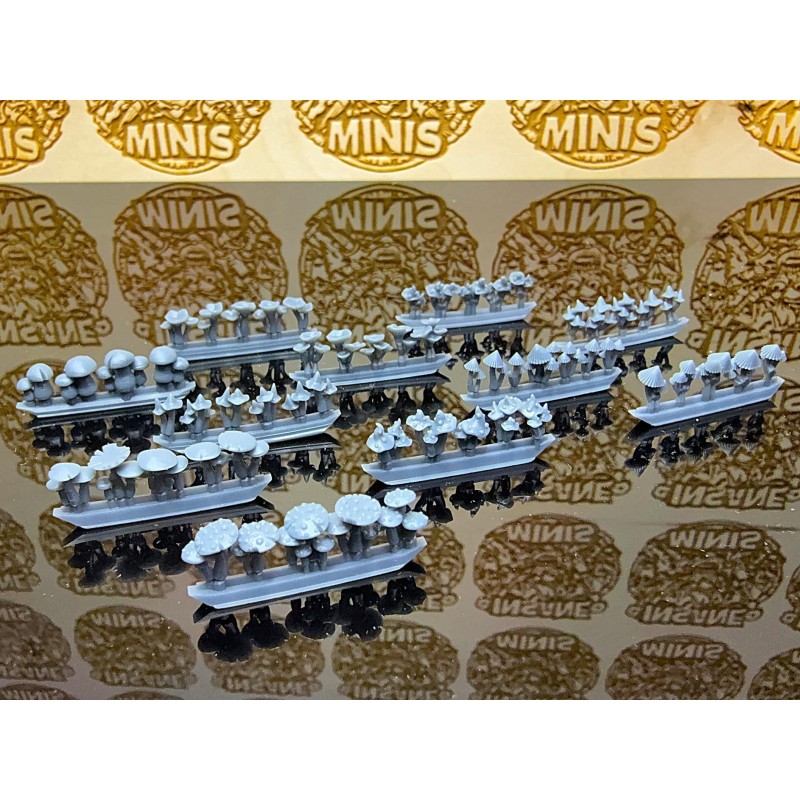 Mushrooms Set - 55pcs